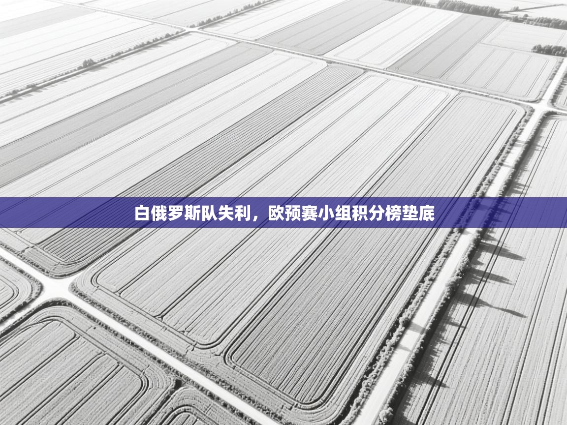 白俄罗斯队失利，欧预赛小组积分榜垫底