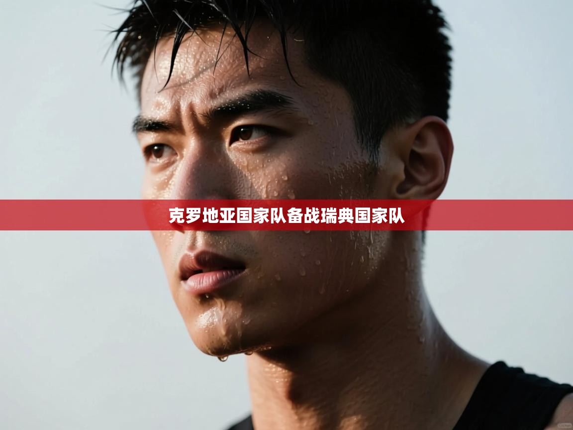 克罗地亚国家队备战瑞典国家队 第1张