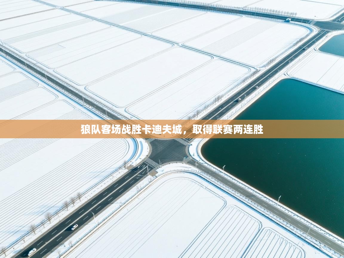 狼队客场战胜卡迪夫城，取得联赛两连胜